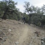 Hiking & Biking trail (2)